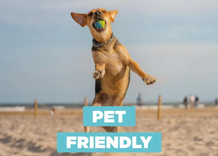 Apartament Agatea 16